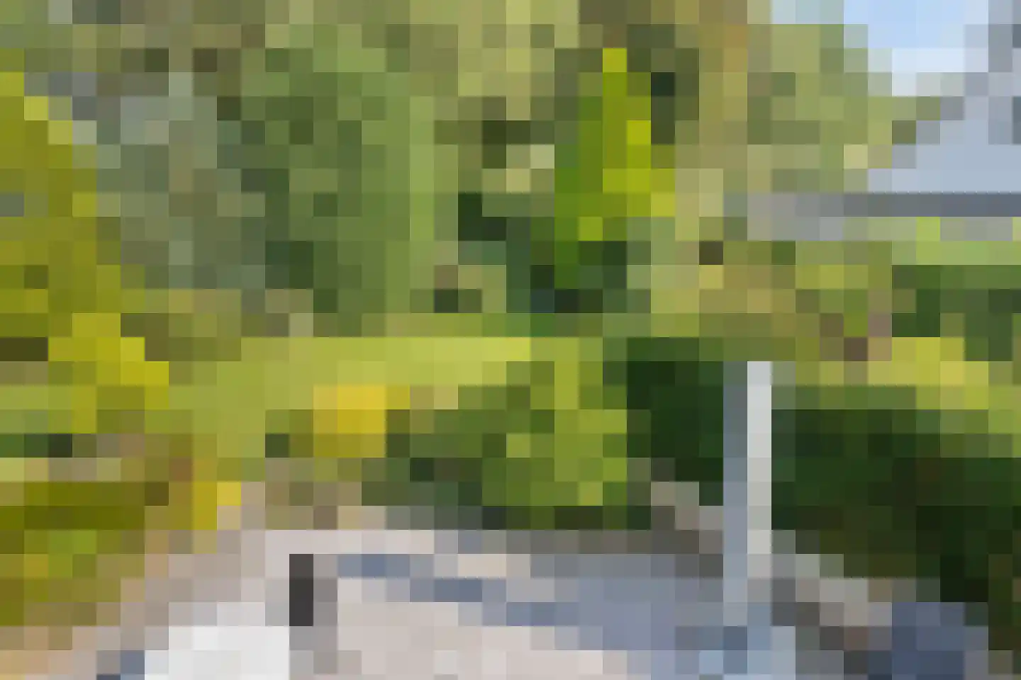 Zernikelaan 8 Zwolle thumbnail 11