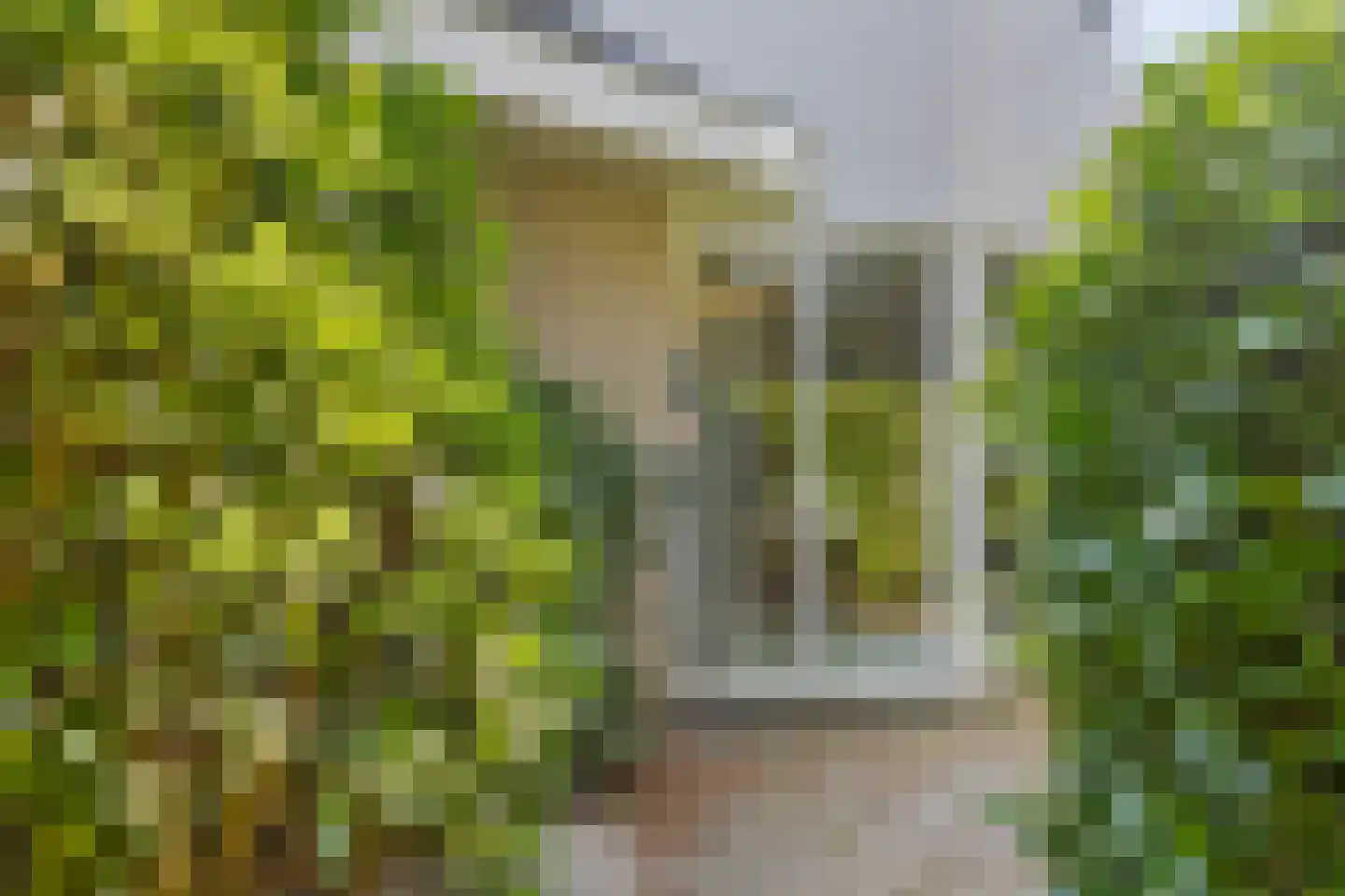 Zernikelaan 8 Zwolle thumbnail 15