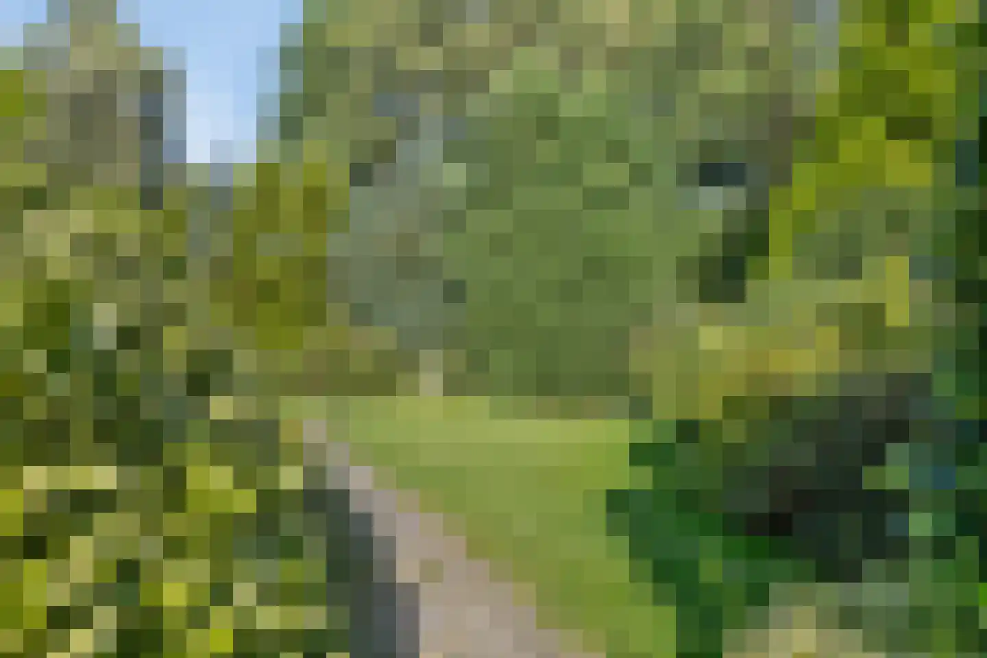 Zernikelaan 8 Zwolle thumbnail 9