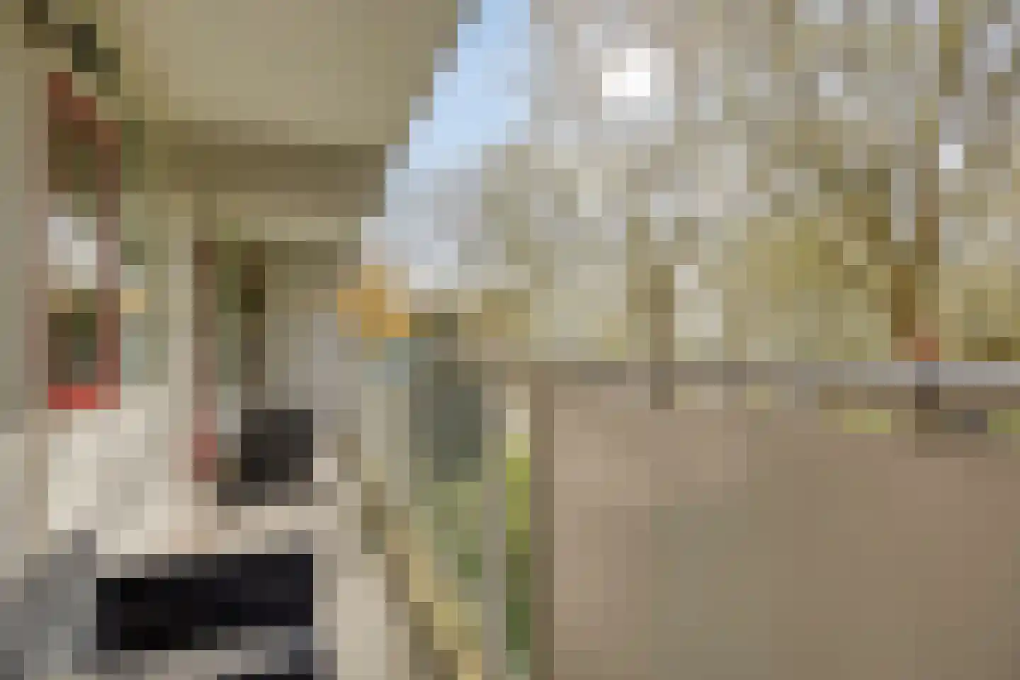 Zernikeplaats 10 Rotterdam thumbnail 16