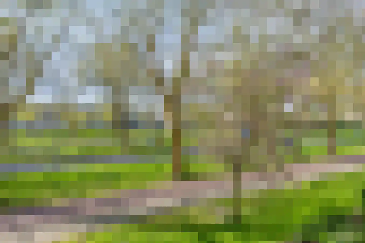 Zernikeplaats 10 Rotterdam thumbnail 17