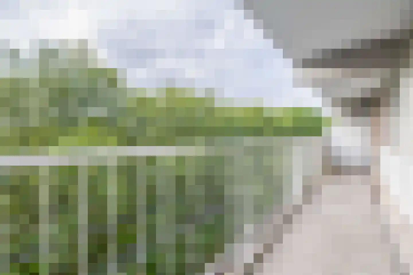 Zernikeplaats 116 Rotterdam thumbnail 11
