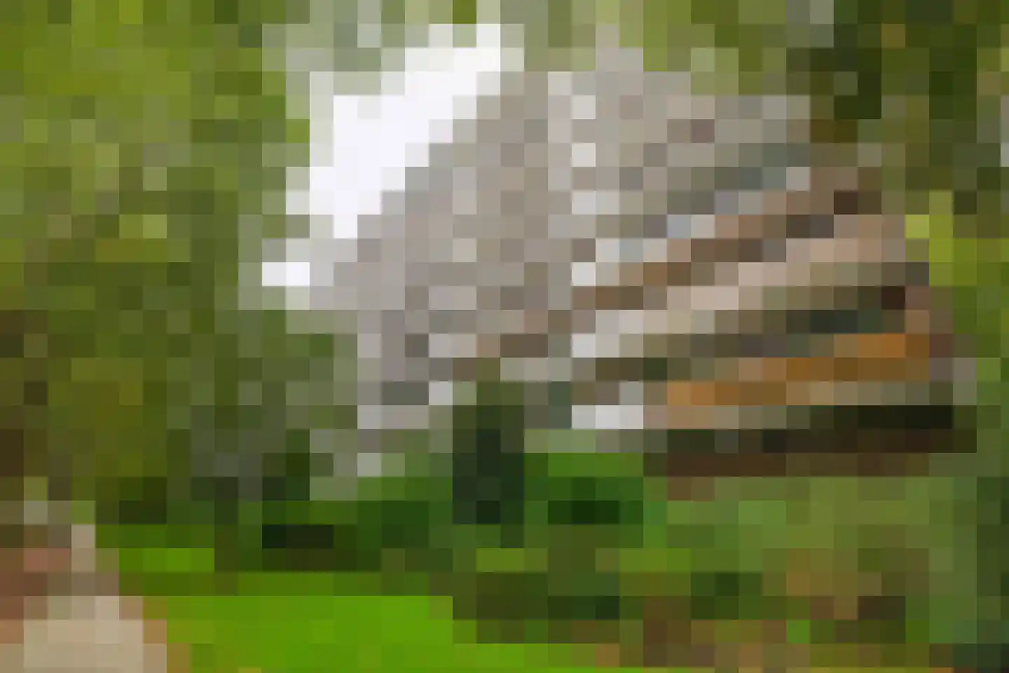 Zernikeplaats 124 Rotterdam thumbnail 37