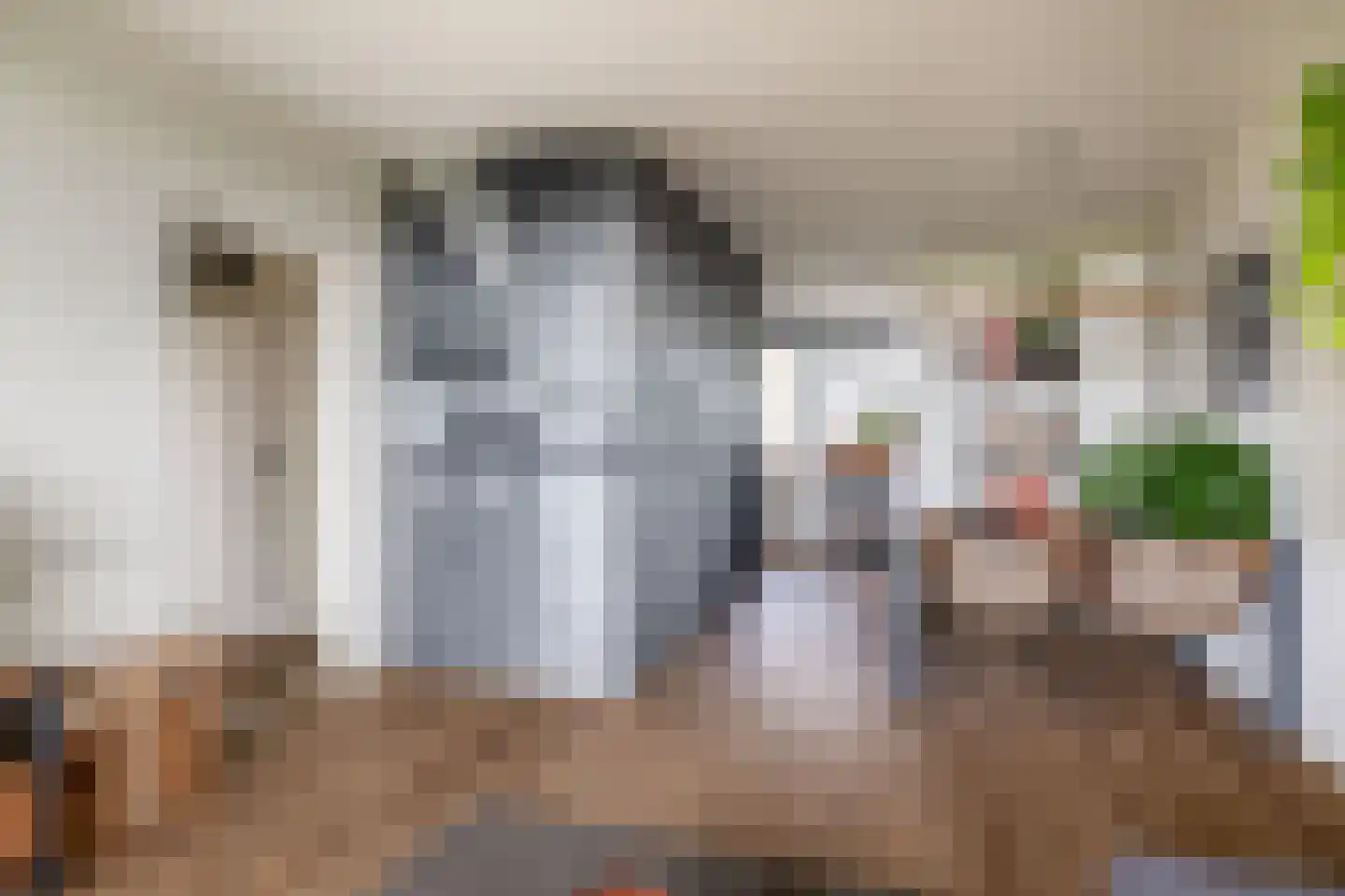 Zernikeplaats 124 Rotterdam thumbnail 5