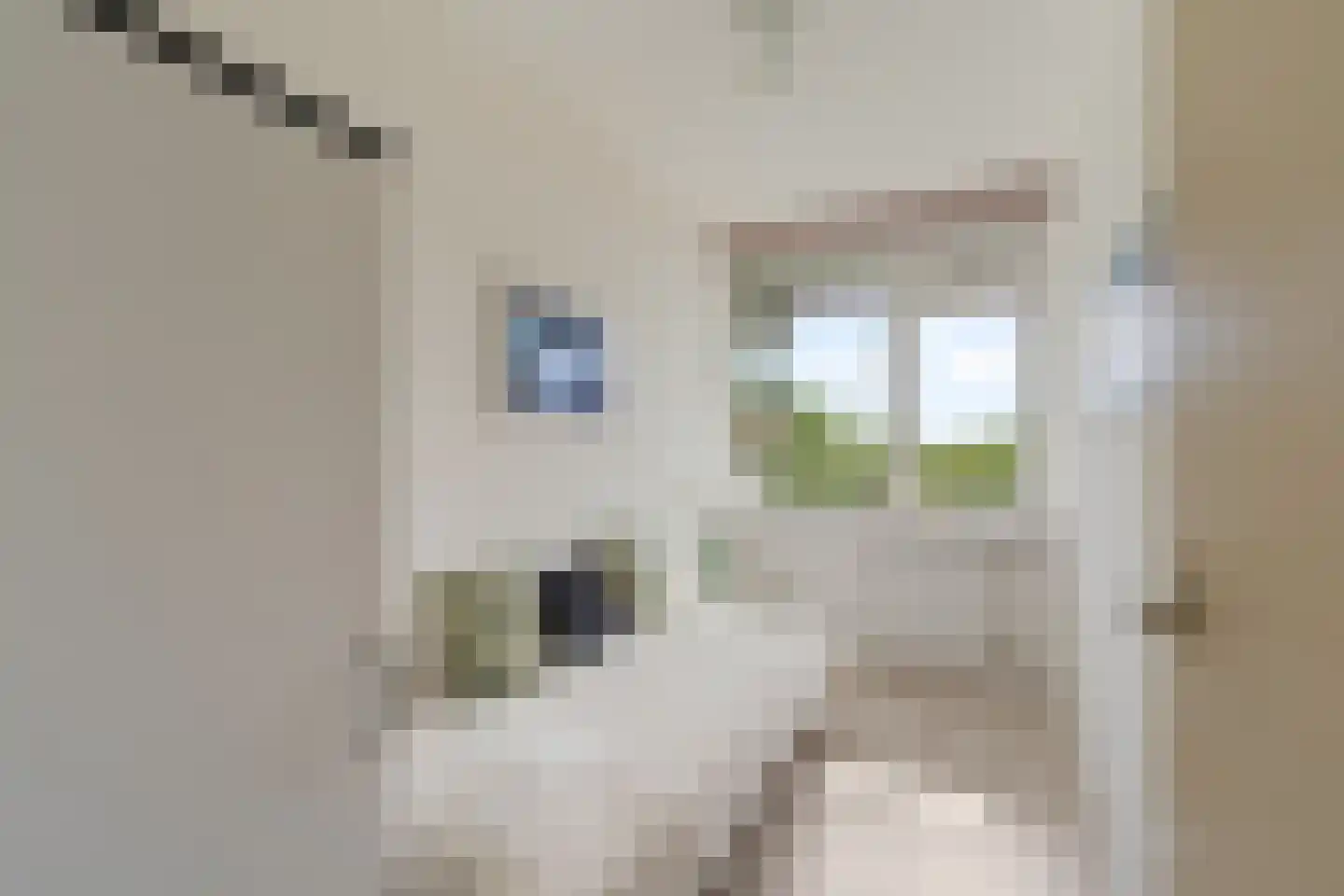 Zernikeplaats 152 Rotterdam thumbnail 15