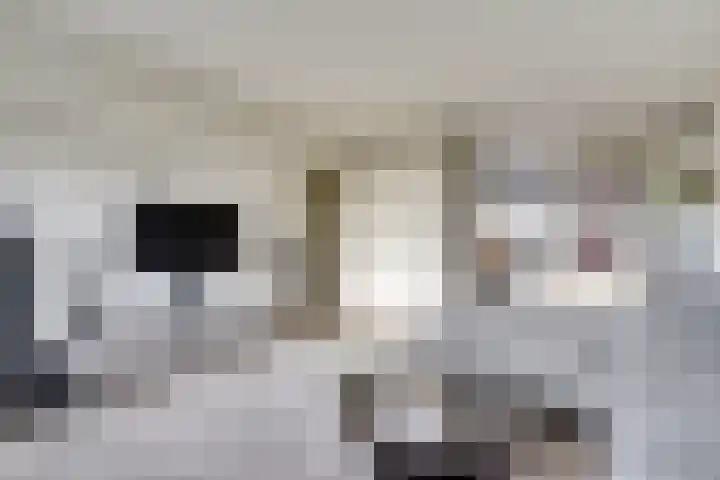 Zernikeplaats 18 Rotterdam thumbnail 11