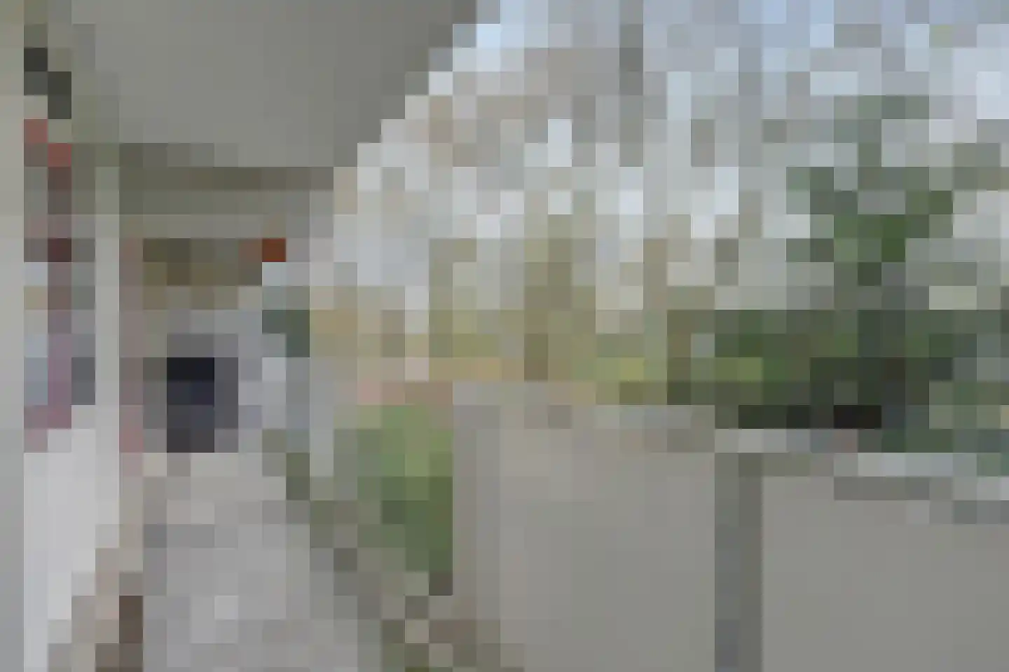 Zernikeplaats 18 Rotterdam thumbnail 28