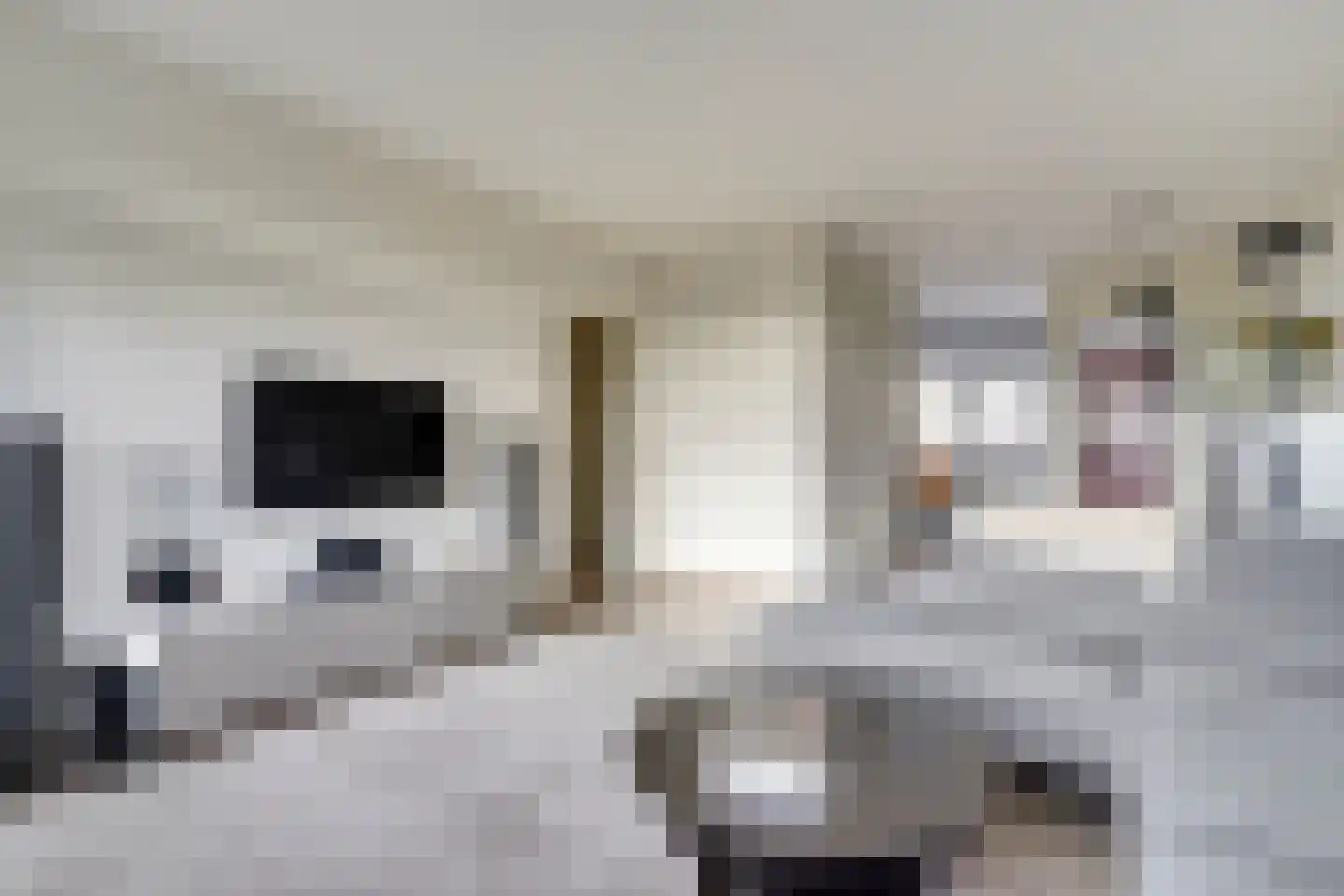 Zernikeplaats 18 Rotterdam thumbnail 5