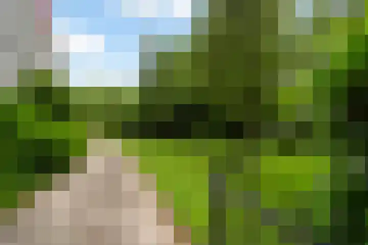 Zernikeplaats 180 Rotterdam thumbnail 23
