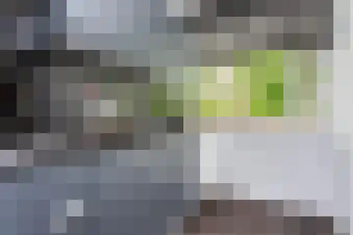 Zernikeplaats 180 Rotterdam thumbnail 8