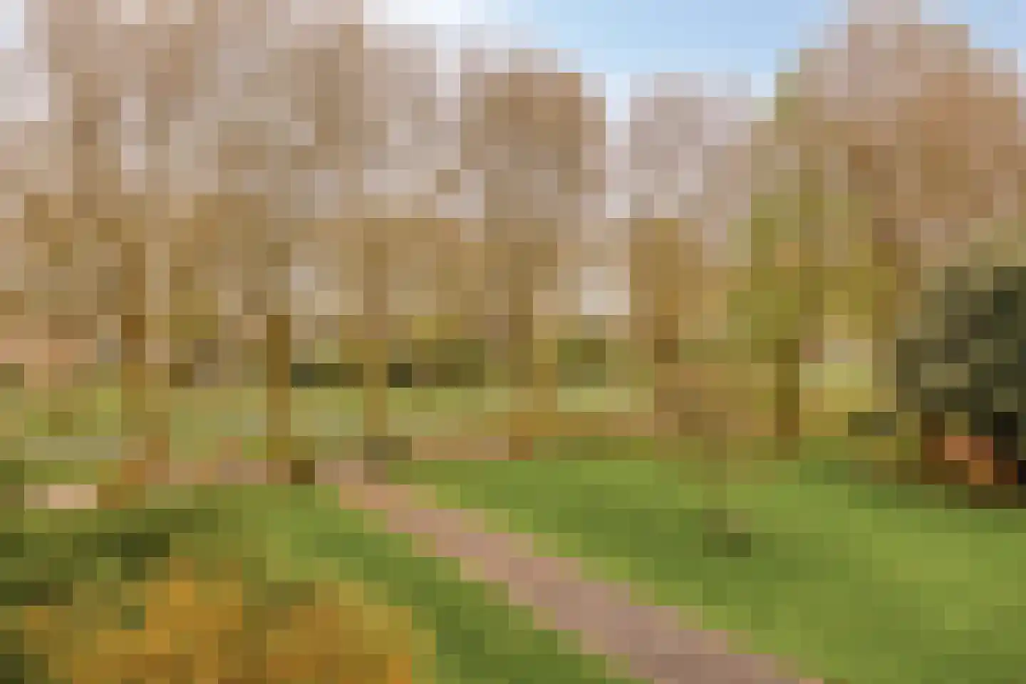 Zernikeplaats 184 Rotterdam thumbnail 25