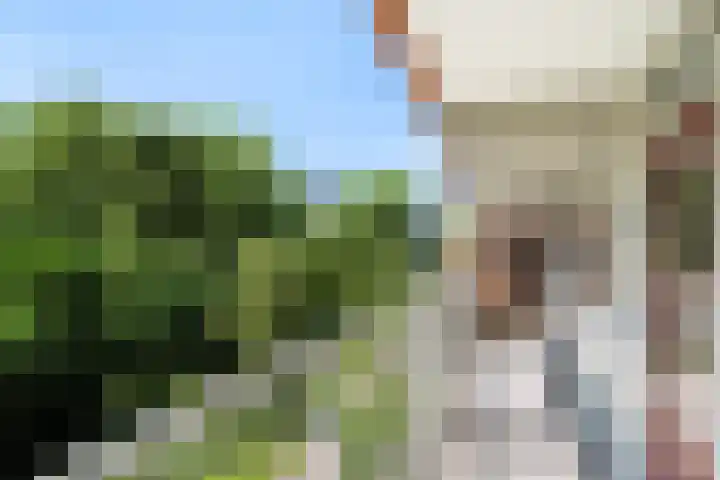 Zernikeplaats 210 Rotterdam thumbnail 12
