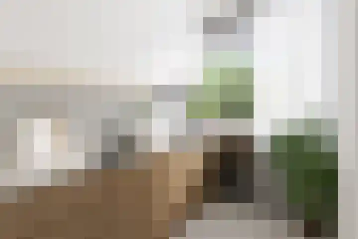 Zernikeplaats 210 Rotterdam thumbnail 16