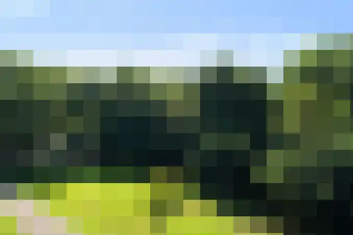 Zernikeplaats 210 Rotterdam thumbnail 32