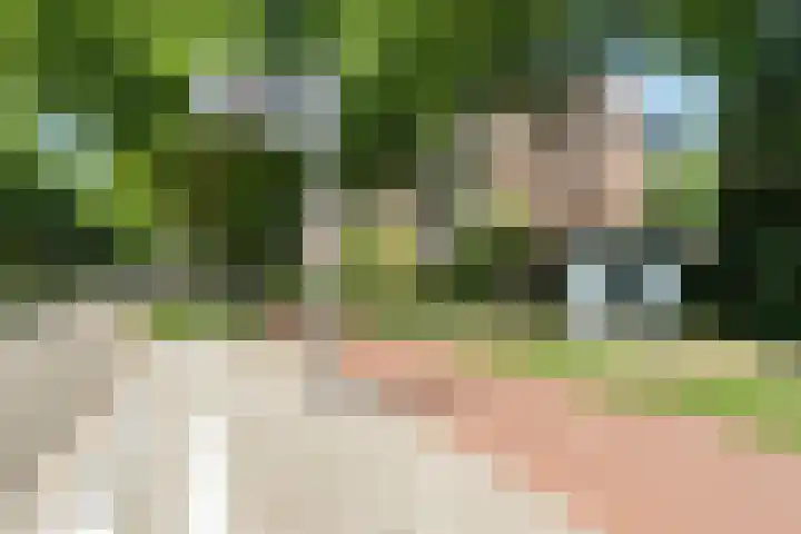 Zernikeplaats 210 Rotterdam thumbnail 37