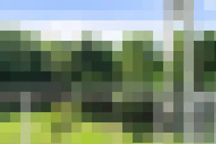 Zernikeplaats 210 Rotterdam thumbnail 4