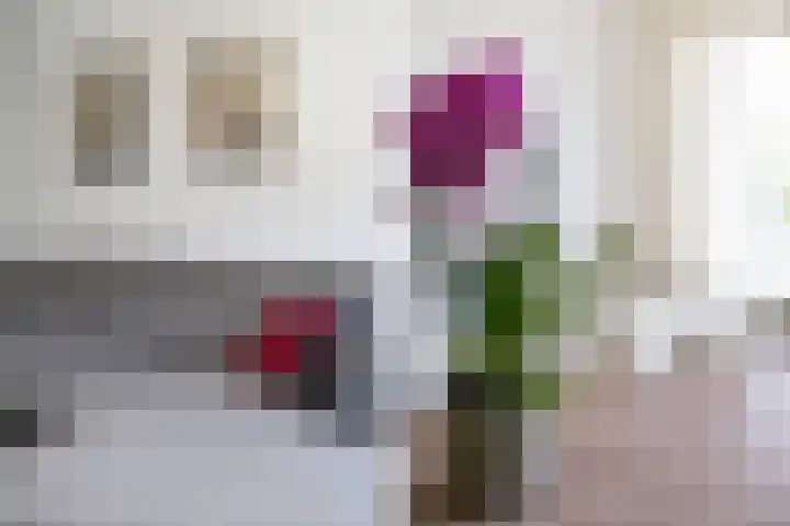 Zernikeplaats 210 Rotterdam thumbnail 9