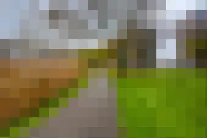 Zernikeplaats 22 Rotterdam thumbnail 29