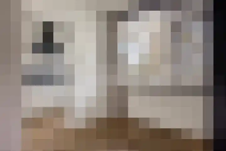Zernikeplaats 22 Rotterdam thumbnail 8