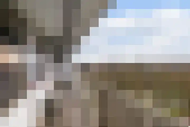 Zernikeplaats 304 Rotterdam thumbnail 5