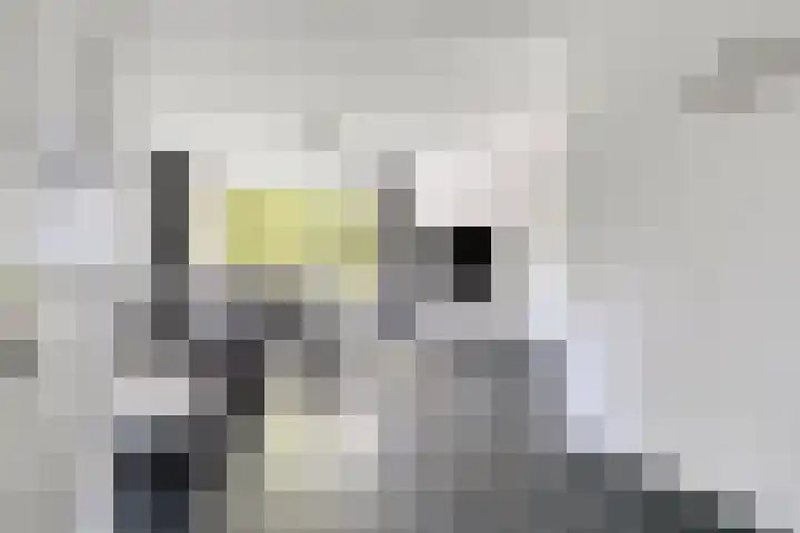 Zernikeplaats 42 in Rotterdam