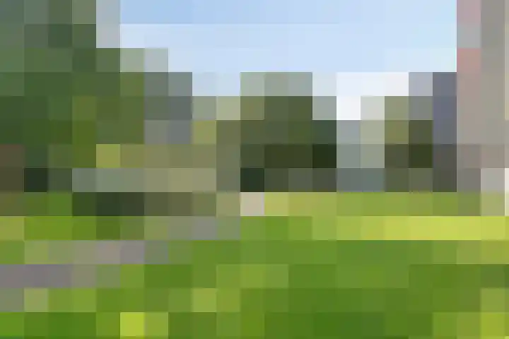 Zernikeplaats 42 Rotterdam thumbnail 31