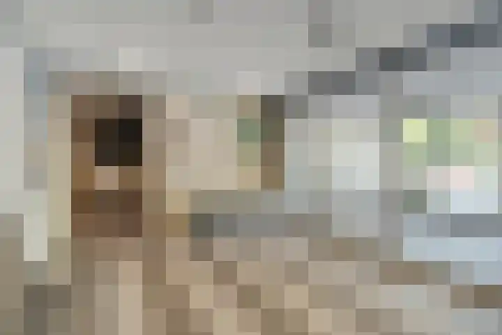 Zernikeplaats 42 Rotterdam thumbnail 7
