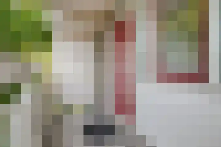 Zernikeplaats 42 Rotterdam thumbnail 9