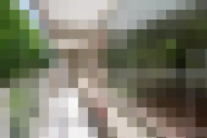 Zernikeplaats 8 Rotterdam thumbnail 12