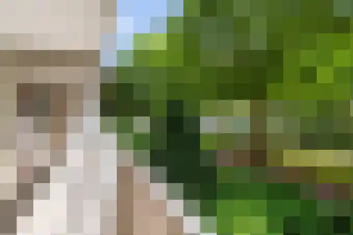 Zernikeplaats 8 Rotterdam thumbnail 13