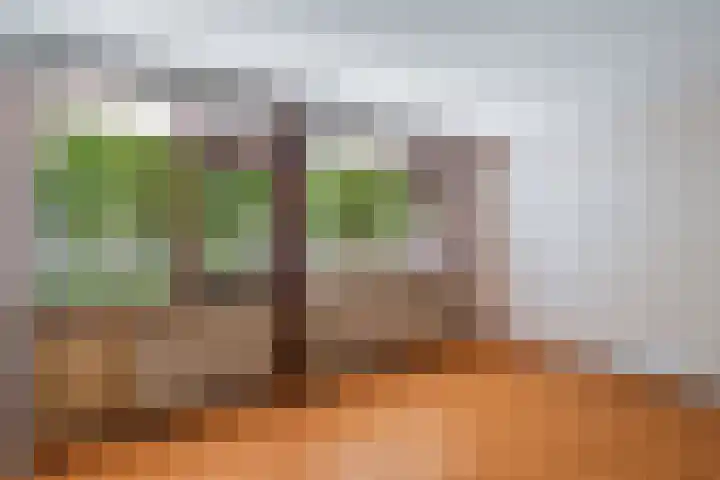 Zernikeplaats 8 Rotterdam thumbnail 16