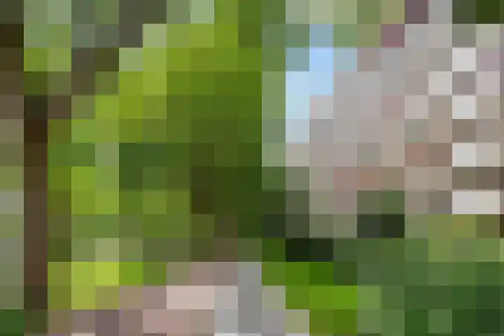 Zernikeplaats 8 Rotterdam thumbnail 20