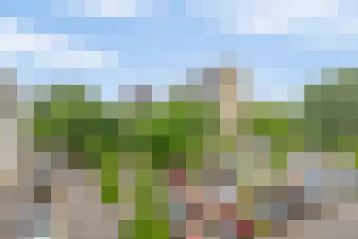 Zernikeplaats 98 Rotterdam thumbnail 10