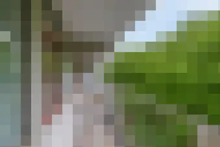 Zernikeplaats 98 Rotterdam thumbnail 24
