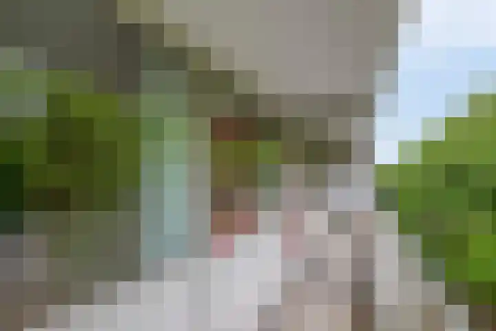 Zernikeplaats 98 Rotterdam thumbnail 25
