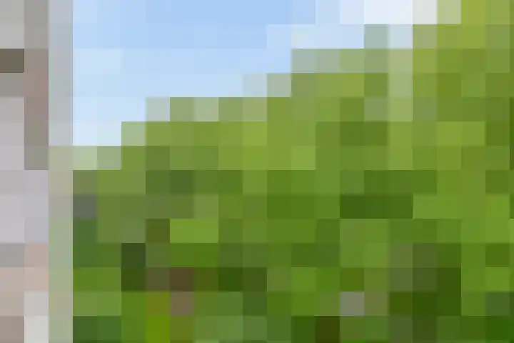 Zernikeplaats 98 Rotterdam thumbnail 27