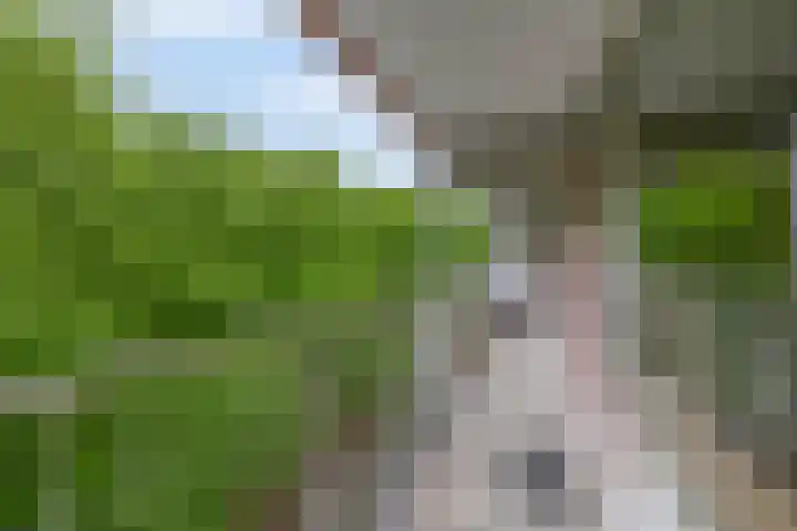 Zernikeplaats 98 Rotterdam thumbnail 4