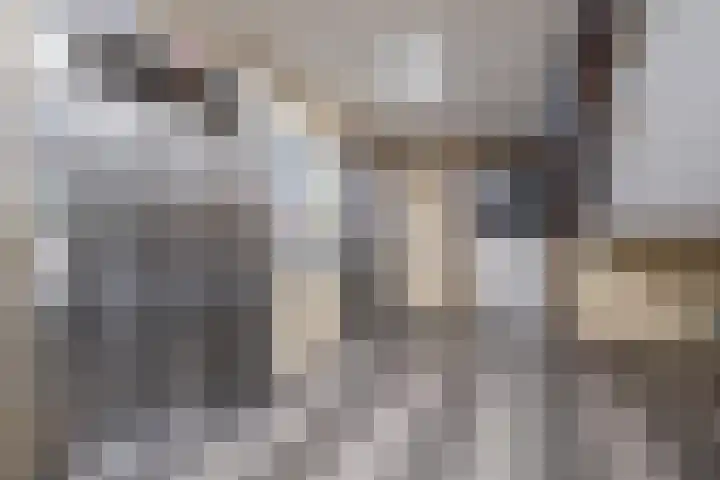 Zernikeplaats 98 Rotterdam thumbnail 7