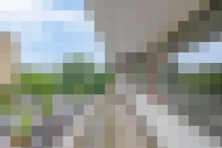 Zernikeplaats 98 Rotterdam thumbnail 9