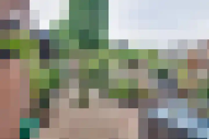 Zernikeplein 12 Lochem thumbnail 18