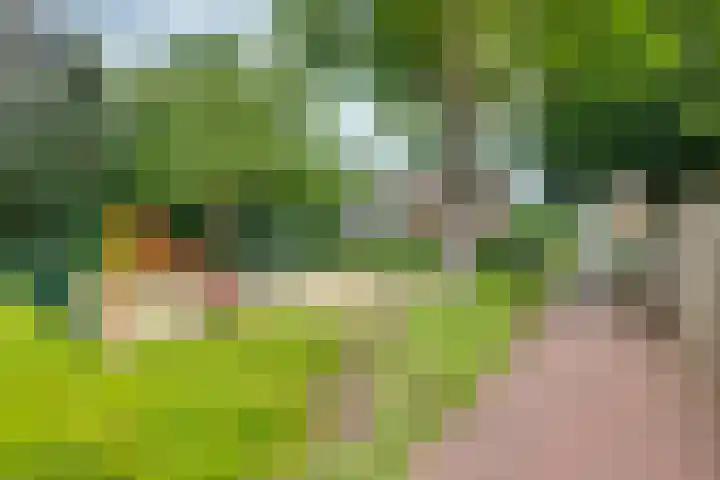 Zernikeplein 12 Lochem thumbnail 21