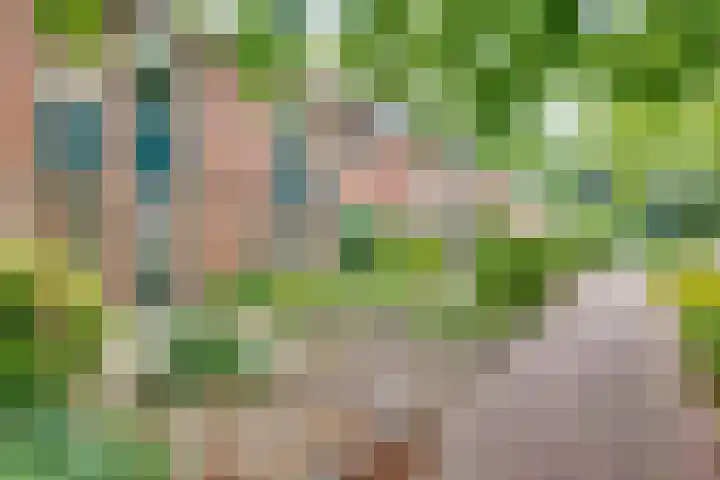Zernikeplein 12 Lochem thumbnail 22