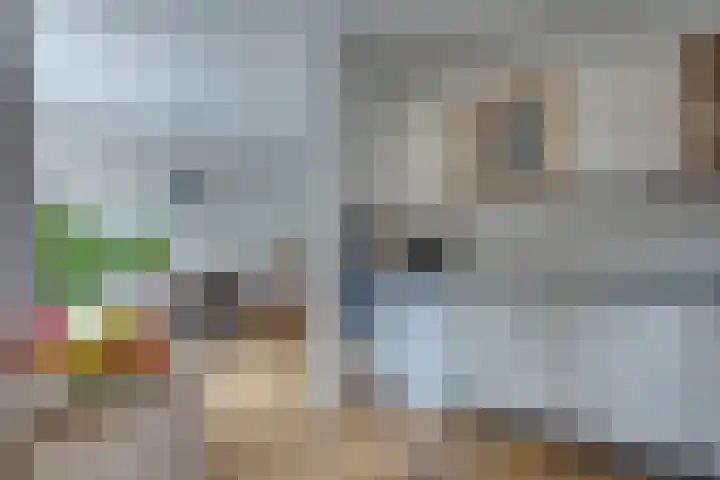 Zernikeplein 12 Lochem thumbnail 7