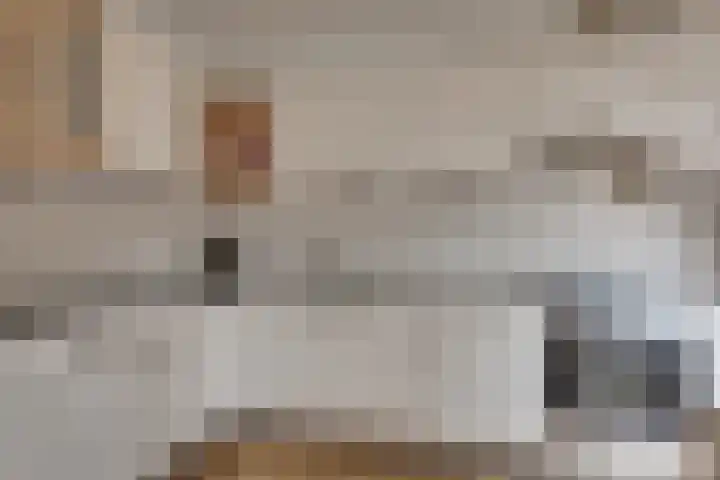 Zernikeplein 12 Lochem thumbnail 8
