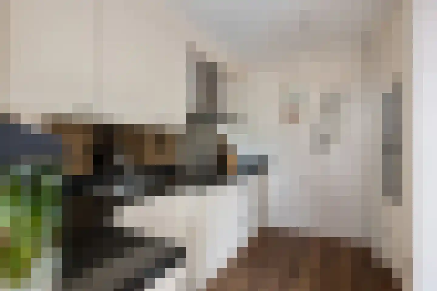 Zernikestraat 10 Nieuwerkerk aan den IJssel thumbnail 10