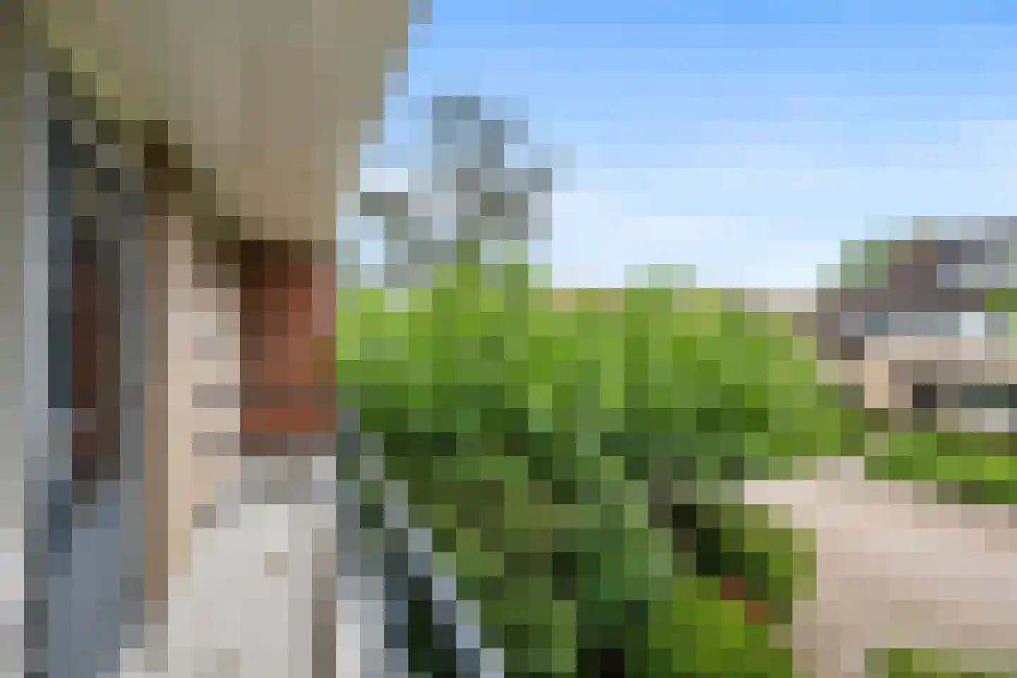 Zernikestraat 10 Nieuwerkerk aan den IJssel thumbnail 17