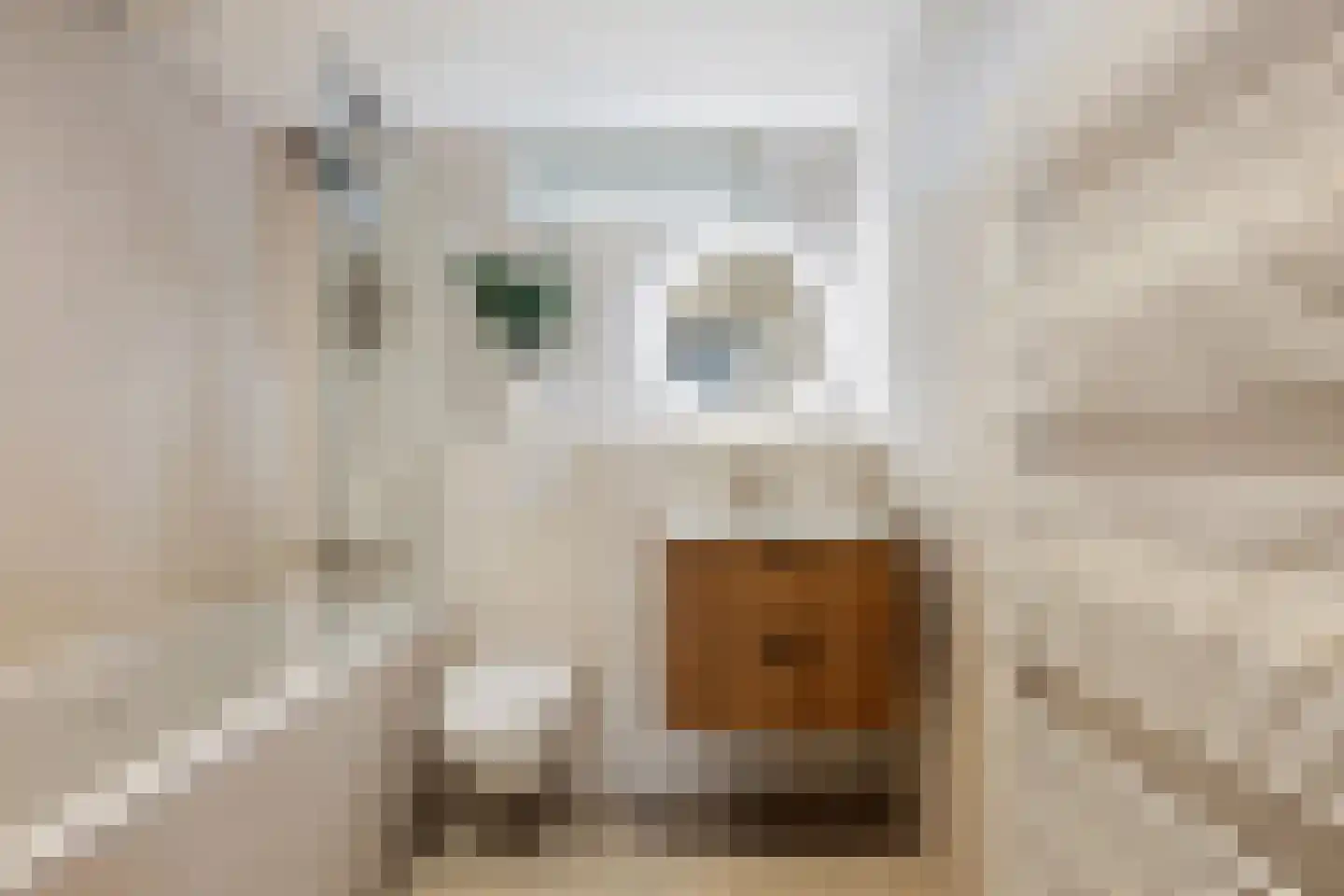 Zernikestraat 10 Nieuwerkerk aan den IJssel thumbnail 21