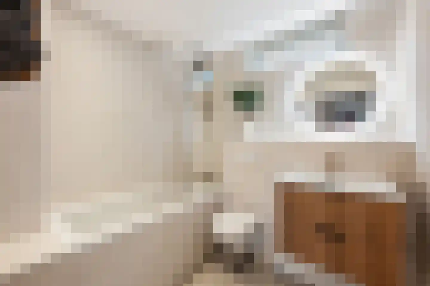 Zernikestraat 10 Nieuwerkerk aan den IJssel thumbnail 22