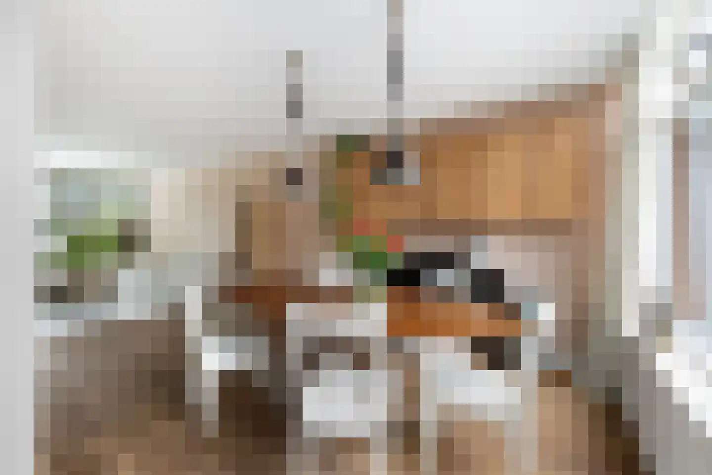 Zernikestraat 10 Nieuwerkerk aan den IJssel thumbnail 8