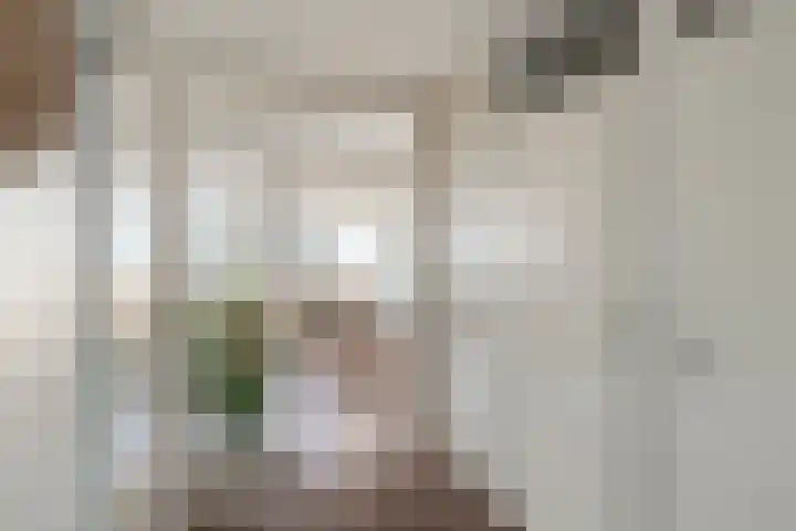 Zernikestraat 134 Tilburg thumbnail 10